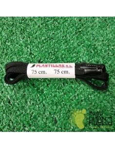 cordones elásticos 75cm 2