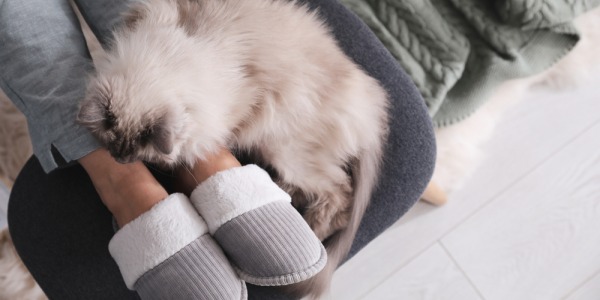 Babuchas de estar por casa